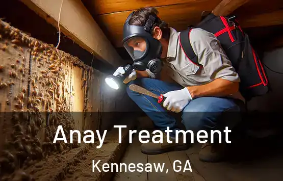  Anay Treatment Kennesaw, GA