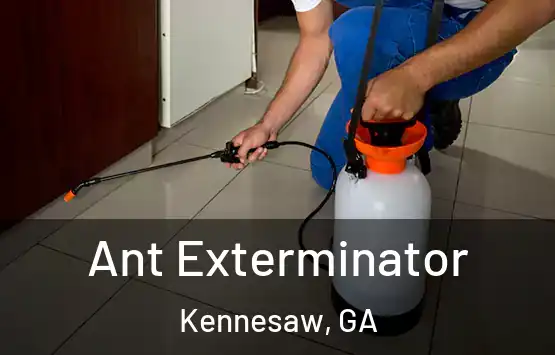  Ant Exterminator Kennesaw, GA