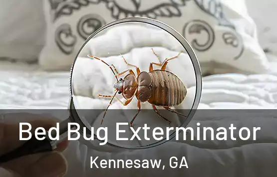  Bed Bug Exterminator Kennesaw, GA