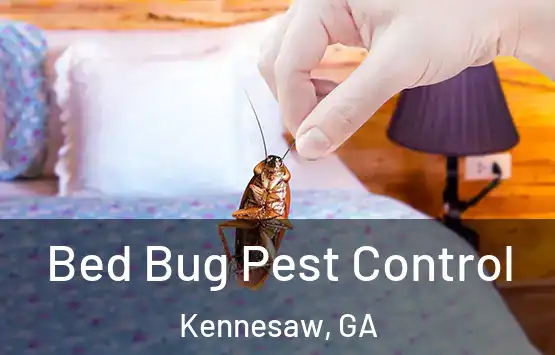  Bed Bug Pest Control Kennesaw, GA