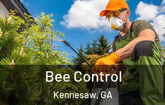  Bee Control Kennesaw, GA