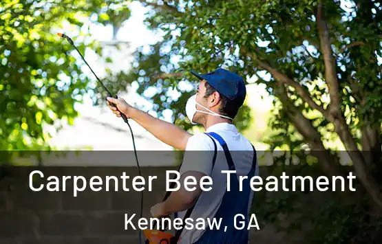  Carpenter Bee Treatment Kennesaw, GA