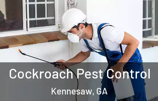  Cockroach Pest Control Kennesaw, GA