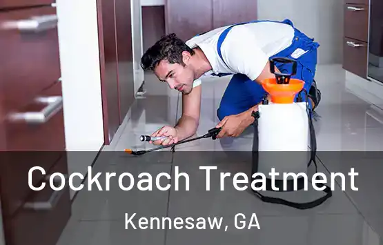  Cockroach Treatment Kennesaw, GA