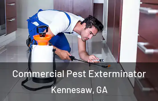  Commercial Pest Exterminator Kennesaw, GA