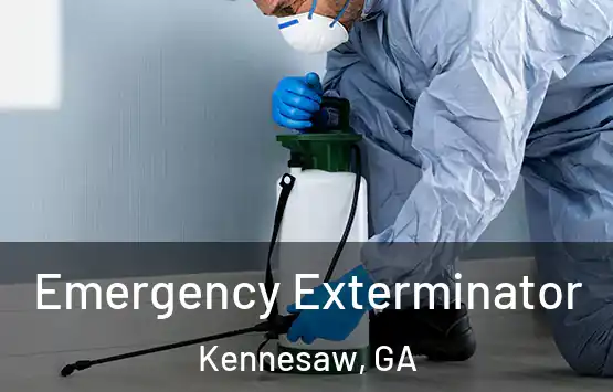  Emergency Exterminator Kennesaw, GA