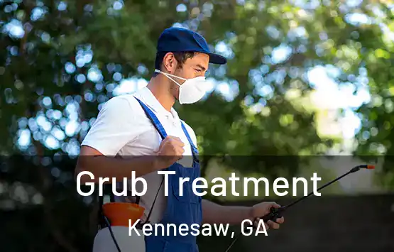  Grub Treatment Kennesaw, GA