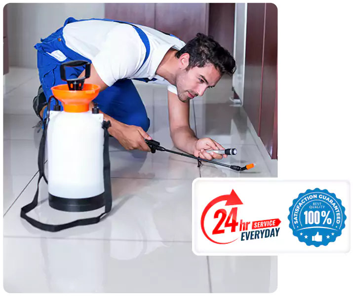 Year-Round Pest Prevention Plans in Kennesaw