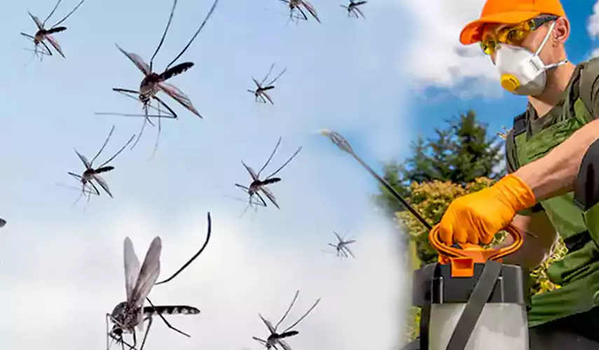 Mosquito Pest Control in Kennesaw, GA