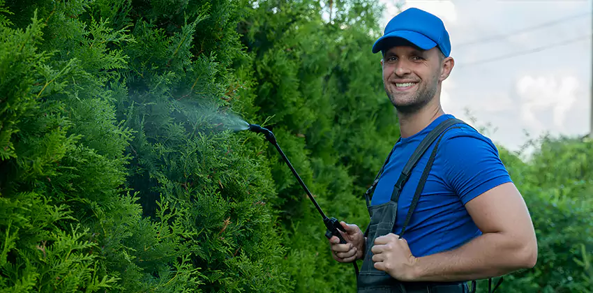 24 Hour Pest Control for Children and Pets Kennesaw, GA