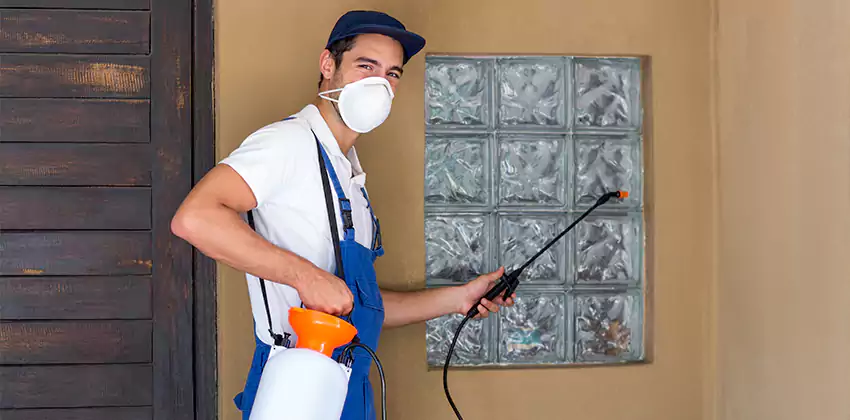 Bee Control for Bedrooms Kennesaw, GA