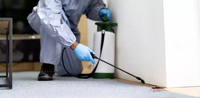 Residential Cockroach Treatment for Bedrooms in Kennesaw, GA