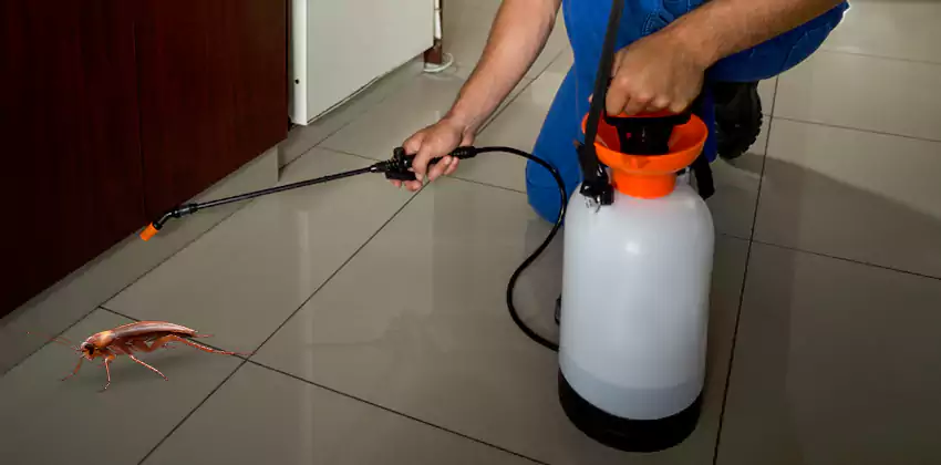 Exclusion and Sanitation Consultation in Kennesaw, GA