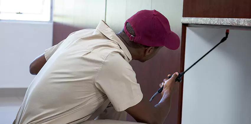 Children and pets extermination of termites Kennesaw, GA