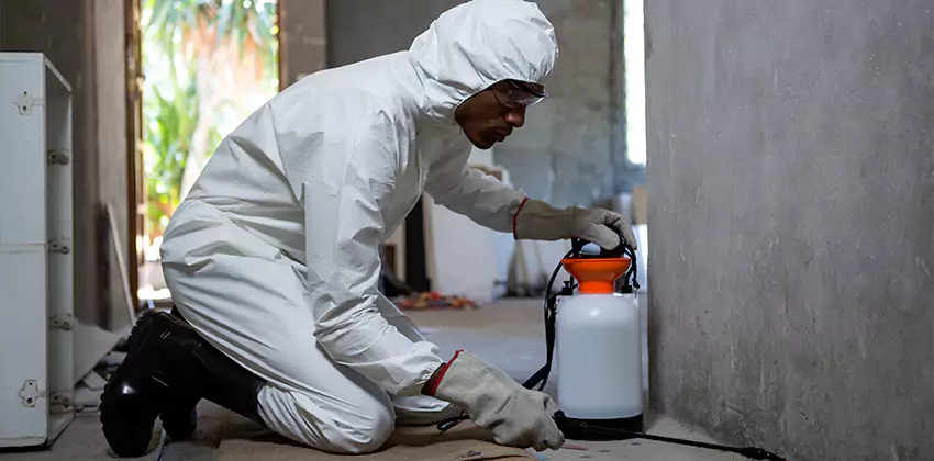 Termite Inspection for Bedrooms Kennesaw, GA