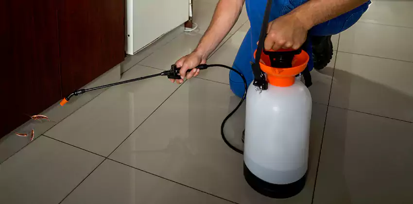 cockroach-treatment in Kennesaw, GA