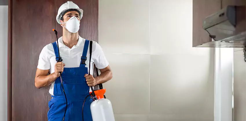 commercial-pest-control in Kennesaw, GA
