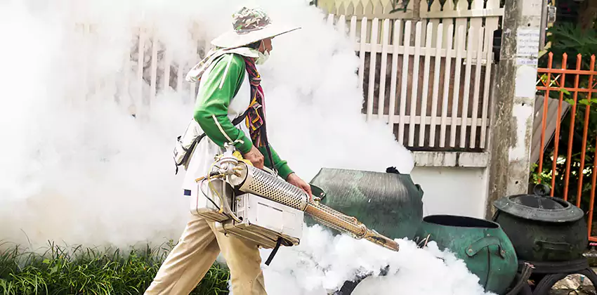 mosquito-exterminator in Kennesaw, GA