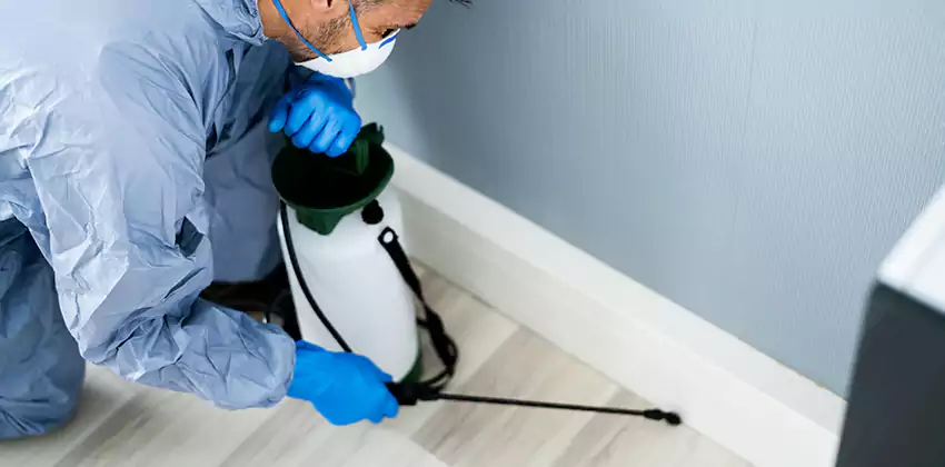 pest-exterminator in Kennesaw, GA