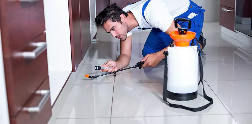 termite-exterminator in Kennesaw, GA