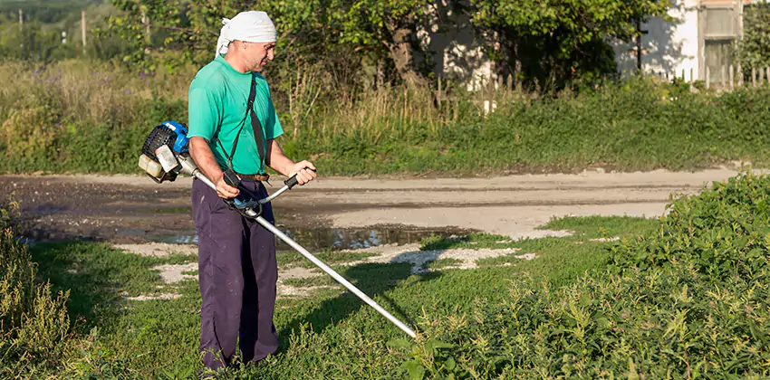 tick-treatment-for-yard in Kennesaw, GA