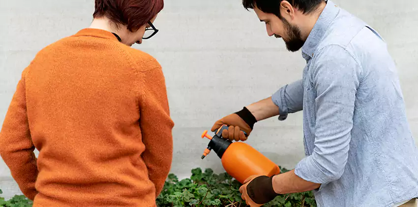 whitefly-treatment in Kennesaw, GA