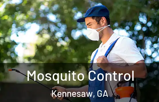  Mosquito Control Kennesaw, GA