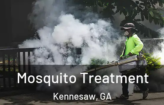  Mosquito Treatment Kennesaw, GA