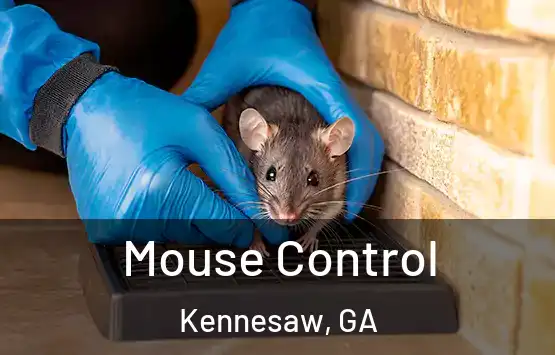  Mouse Control Kennesaw, GA