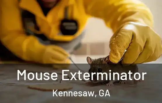 Mouse Exterminator Kennesaw, GA