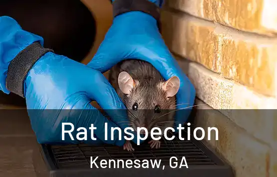  Rat Inspection Kennesaw, GA