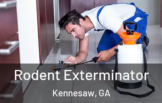  Rodent Exterminator Kennesaw, GA