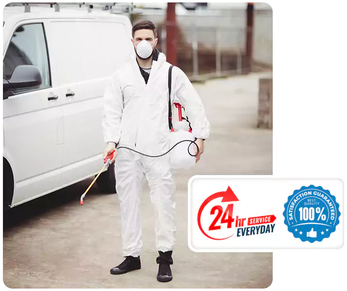 About Carpenter Bee Treatment Kennesaw