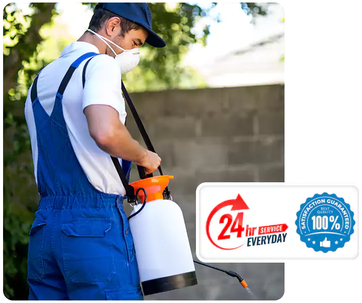 About Pest Exterminator Kennesaw