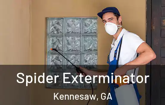  Spider Exterminator Kennesaw, GA