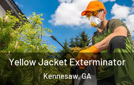  Yellow Jacket Exterminator Kennesaw, GA